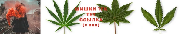 jwh Ельня