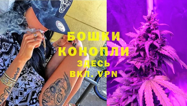 экстази Заводоуковск