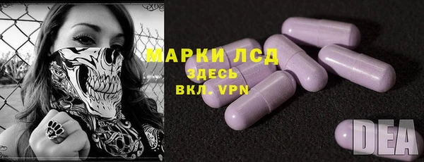 сатива Приозерск