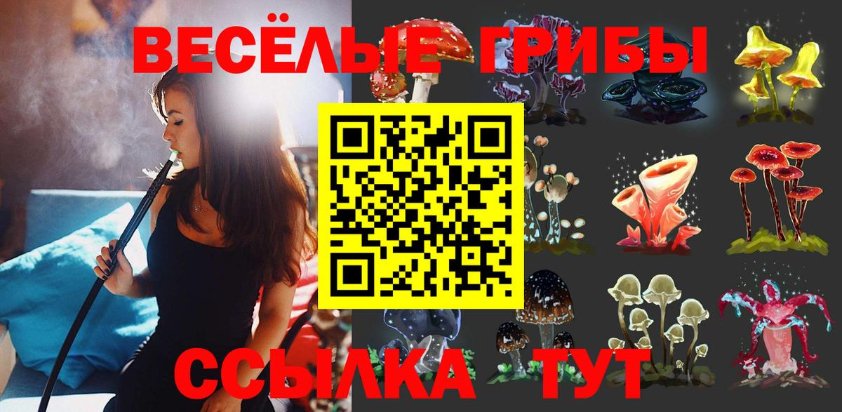 Галлюциногенные грибы GOLDEN TEACHER  Галлюциногенные грибы Psilocybe  Солнечногорск 