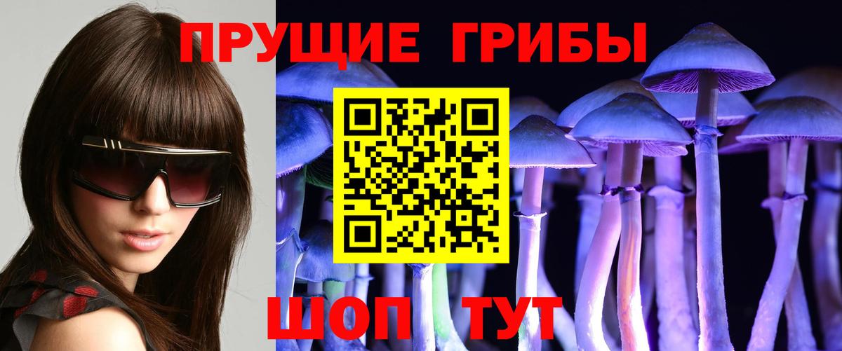 Псилоцибиновые грибы мицелий Солнечногорск